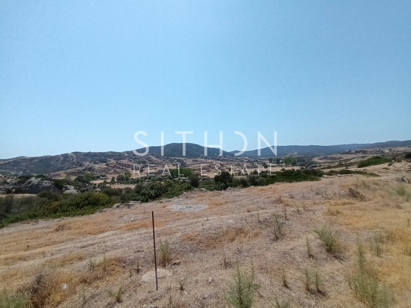 Οικόπεδο 500 τ.μ. προς πώληση, Σκάλα Συκέας