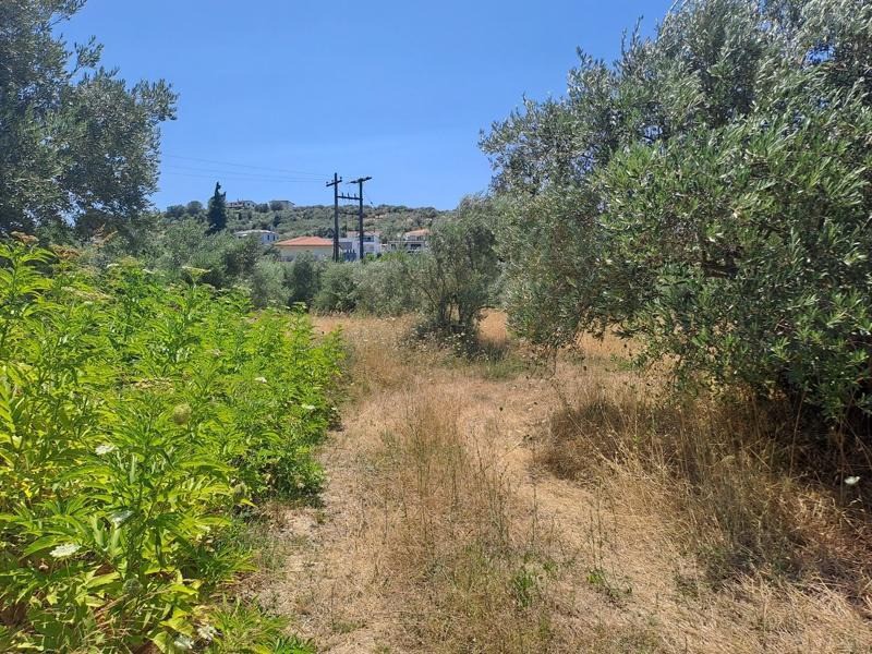 Οικόπεδο 4.500 τ.μ. για πώληση, Εύβοια, Αρτεμίσιο