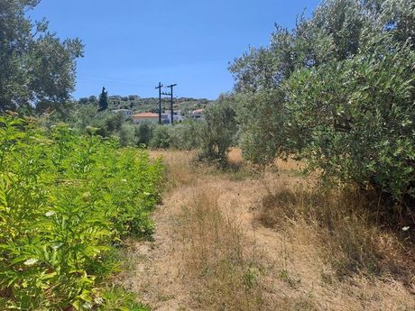Land plot 4.500sqm for sale-Artemisio » Pefki