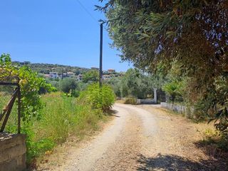 Οικόπεδο 4.500 τ.μ. για πώληση, Εύβοια, Αρτεμίσιο-thumb-8