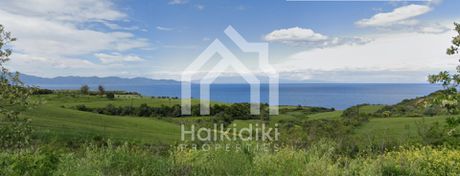 Αγροτεμάχια 16.200τ.μ. για πώληση-Παναγιά » Κέντρο