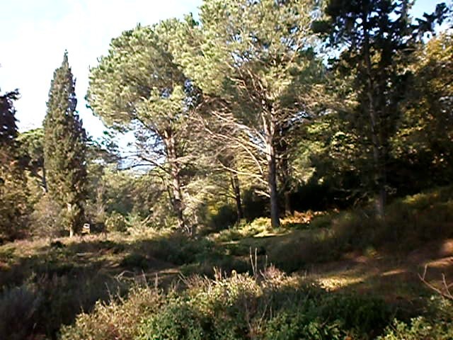Οικόπεδο 4.200 τ.μ. προς πώληση, Αχίλλειο Κέρκυρας