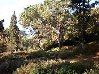 Οικόπεδο 4.200 τ.μ. για πώληση, Ν. Κέρκυρας, Κέρκυρα-thumb-2