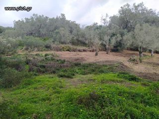 Οικόπεδο 4.200 τ.μ. για πώληση, Ν. Κέρκυρας, Κέρκυρα-thumb-6