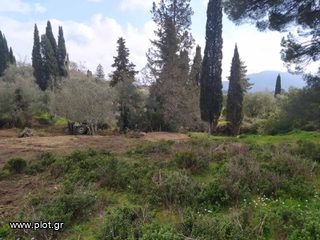 Οικόπεδο 4.200 τ.μ. για πώληση, Ν. Κέρκυρας, Κέρκυρα-thumb-9