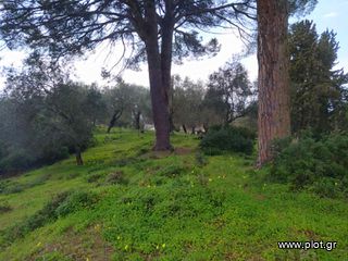 Οικόπεδο 4.200 τ.μ. για πώληση, Ν. Κέρκυρας, Κέρκυρα-thumb-10