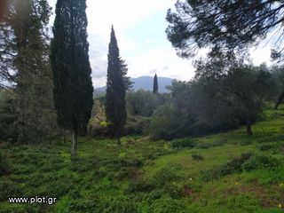 Οικόπεδο 4.200 τ.μ. για πώληση, Ν. Κέρκυρας, Κέρκυρα-thumb-11