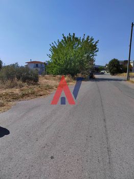 Οικόπεδο 1.000 τ.μ. για πώληση