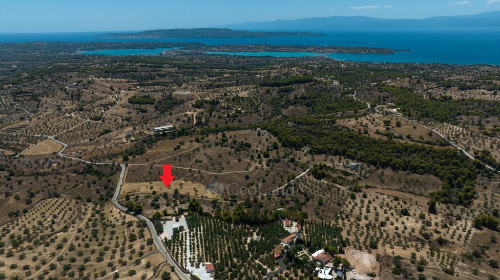 Αγροτεμάχια 10.550 τ.μ. προς πώληση, Αργολίδα, Κρανίδι