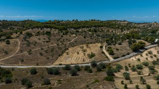 Αγροτεμάχια 10.550 τ.μ. για πώληση, Αργολίδα, Κρανίδι-thumb-20