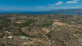 Αγροτεμάχια 10.550 τ.μ. για πώληση, Αργολίδα, Κρανίδι-thumb-16