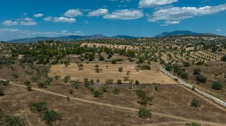 Αγροτεμάχια 10.550 τ.μ. για πώληση, Αργολίδα, Κρανίδι-thumb-21