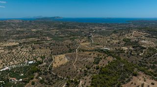 Αγροτεμάχια 10.550 τ.μ. για πώληση, Αργολίδα, Κρανίδι-thumb-11