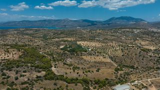 Αγροτεμάχια 10.550 τ.μ. για πώληση, Αργολίδα, Κρανίδι-thumb-13