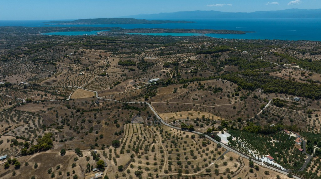 Αγροτεμάχια 10.550 τ.μ. προς πώληση, Αργολίδα, Κρανίδι