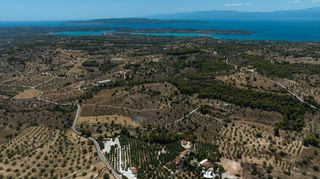 Αγροτεμάχια 10.550 τ.μ. για πώληση, Αργολίδα, Κρανίδι-thumb-9