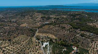 Αγροτεμάχια 10.550 τ.μ. για πώληση