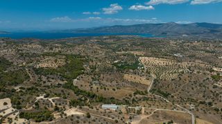 Αγροτεμάχια 10.550 τ.μ. για πώληση, Αργολίδα, Κρανίδι-thumb-15