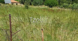 Οικόπεδο 623 τ.μ. για πώληση, Αχαΐα, Μεσσατίδα-thumb-29