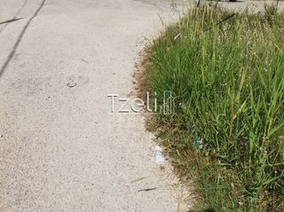 Οικόπεδο 623 τ.μ. για πώληση, Αχαΐα, Μεσσατίδα-thumb-4