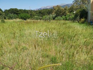 Οικόπεδο 623 τ.μ. για πώληση, Αχαΐα, Μεσσατίδα-thumb-15