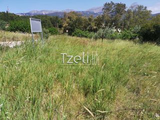 Οικόπεδο 623 τ.μ. για πώληση, Αχαΐα, Μεσσατίδα-thumb-18
