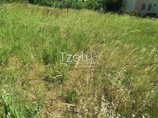 Οικόπεδο 623 τ.μ. για πώληση, Αχαΐα, Μεσσατίδα-thumb-25