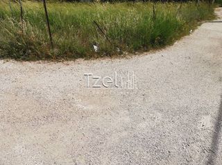 Οικόπεδο 623 τ.μ. για πώληση, Αχαΐα, Μεσσατίδα-thumb-8