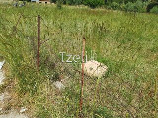 Οικόπεδο 623 τ.μ. για πώληση, Αχαΐα, Μεσσατίδα-thumb-27