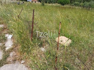 Οικόπεδο 623 τ.μ. για πώληση, Αχαΐα, Μεσσατίδα-thumb-10