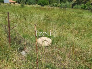 Οικόπεδο 623 τ.μ. για πώληση, Αχαΐα, Μεσσατίδα-thumb-6