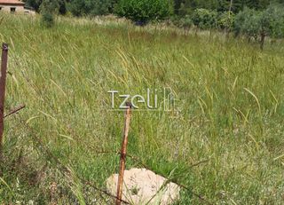 Οικόπεδο 528 τ.μ. για πώληση, Αχαΐα, Μεσσατίδα-thumb-26