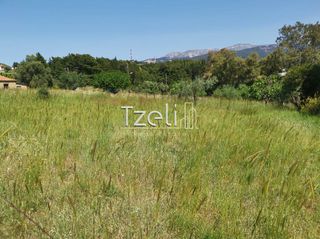 Οικόπεδο 528 τ.μ. για πώληση, Αχαΐα, Μεσσατίδα-thumb-9