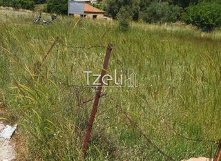 Οικόπεδο 528 τ.μ. για πώληση, Αχαΐα, Μεσσατίδα-thumb-22