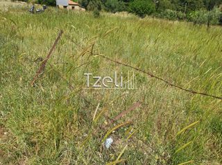 Οικόπεδο 528 τ.μ. για πώληση, Αχαΐα, Μεσσατίδα-thumb-23