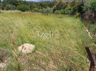 Οικόπεδο 528 τ.μ. για πώληση, Αχαΐα, Μεσσατίδα-thumb-2