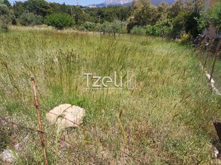 Οικόπεδο 528 τ.μ. για πώληση, Αχαΐα, Μεσσατίδα-thumb-12