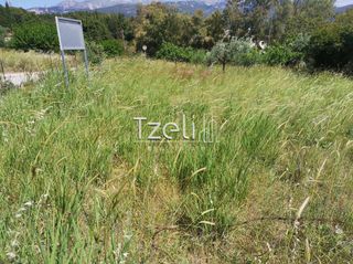 Οικόπεδο 528 τ.μ. για πώληση, Αχαΐα, Μεσσατίδα-thumb-20