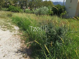 Οικόπεδο 528 τ.μ. για πώληση, Αχαΐα, Μεσσατίδα-thumb-11