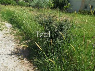 Οικόπεδο 1.680 τ.μ. για πώληση, Αχαΐα, Μεσσατίδα-thumb-8