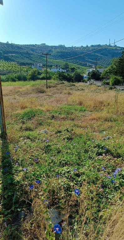 Οικόπεδο 2.800 τ.μ. προς πώληση, Γιοφυράκια