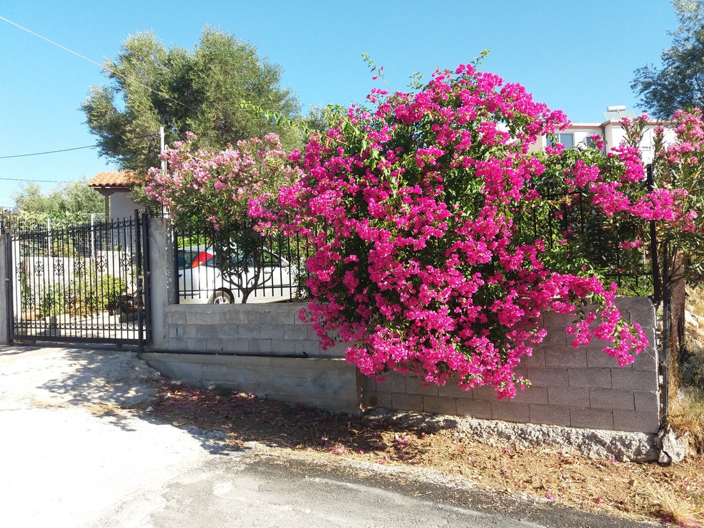 Αγροτεμάχια 345 τ.μ. προς πώληση, Κέντρο Αγίων Θεοδώρων