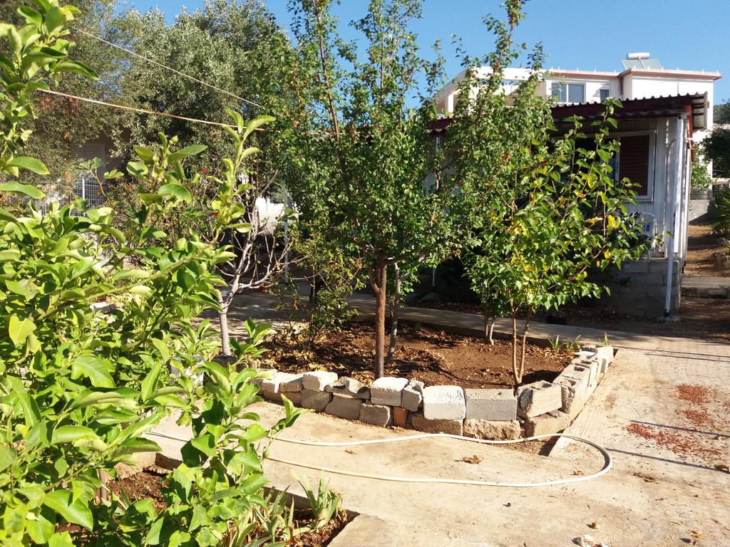Αγροτεμάχια 345 τ.μ. προς πώληση, Κέντρο Αγίων Θεοδώρων