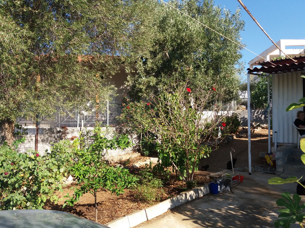 Αγροτεμάχια 345 τ.μ. προς πώληση, Κέντρο Αγίων Θεοδώρων