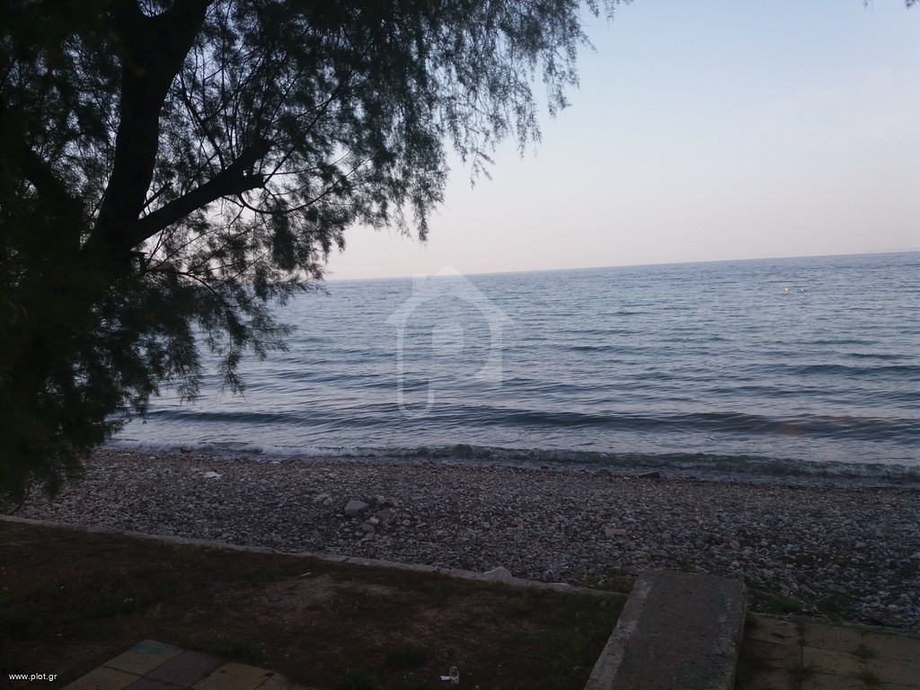 Αγροτεμάχια 345 τ.μ. προς πώληση, Κέντρο Αγίων Θεοδώρων