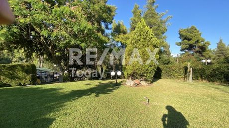Detached home 110sqm for sale-Kassandra » Sani