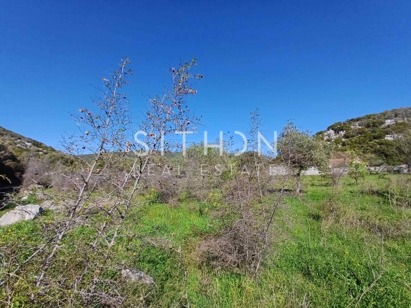Αγροτεμάχια 558 τ.μ. προς πώληση, Κουφός Τορώνης