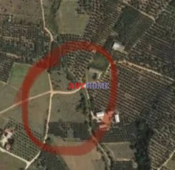 Οικόπεδο 2.000 τ.μ. για πώληση