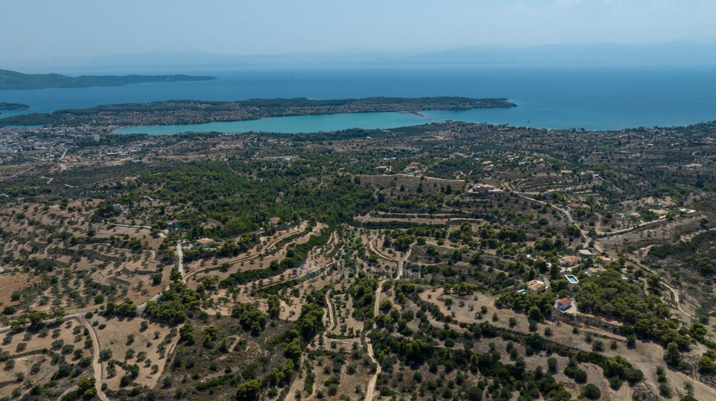 Αγροτεμάχια 11.064 τ.μ. προς πώληση, Πορτοχέλι