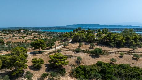 Αγροτεμάχια 11.064τ.μ. για πώληση-Κρανίδι » Πορτοχέλι